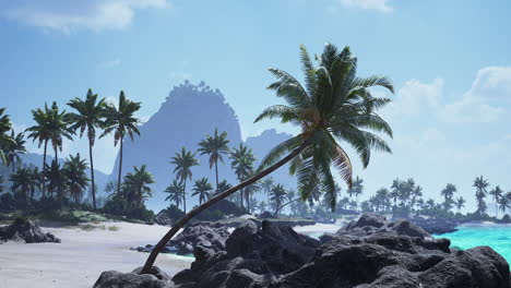 tropical beach paradise with palm trees and clear blue water