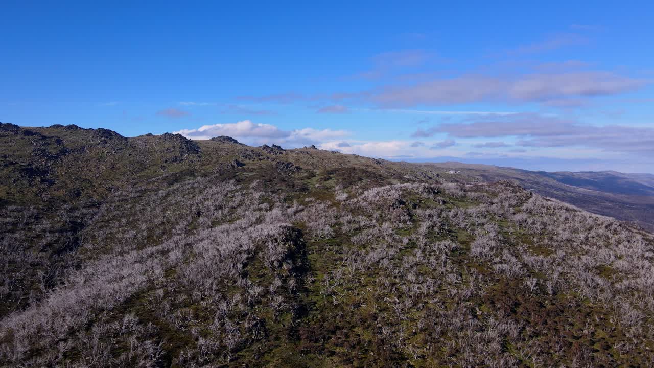 코스치우스코 국립공원 (kosciuszko national park, nsw, 오스트레일리아) 의 눈 인 산맥의 주요 산맥에 있는 코스키우스코 산의 공중 사진