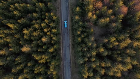 a blue car driving down a picturesque forest road during golden hour in germany