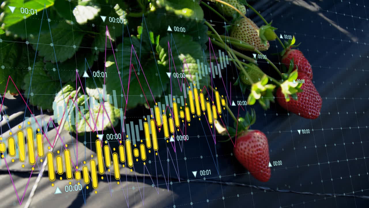 Close-up showing red and green strawberries overlaying grid with yellow bars and pink blue lines