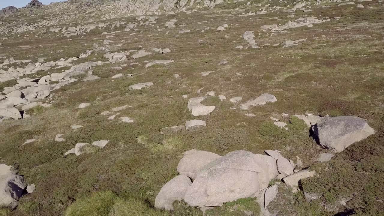 호주 뉴사우스웨일스주 코지우스코 국립공원의 손길이 닿지 않은 녹색 자연