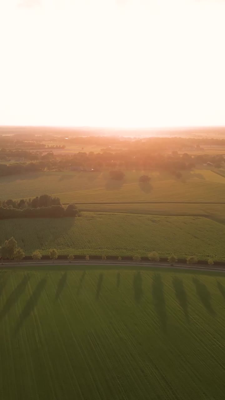 Sunset over Farmland