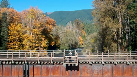 Drohnenaufnahme-Einer-Frau,-Die-Im-Herbst-In-Kanada-Auf-Einem-Gerüst-Mit-Einem-Berg-Im-Hintergrund-Die-Aussicht-Genießt