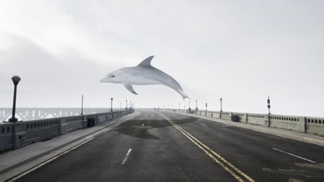 flying dolphin over a bridge