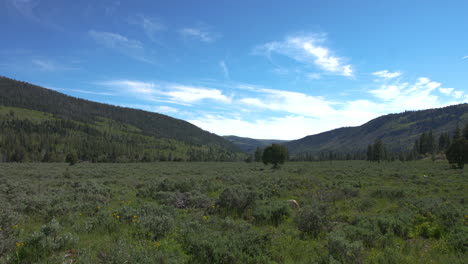 una toma amplia de un valle entre dos montañas en el bosque wasatch cerca de kamas, utah