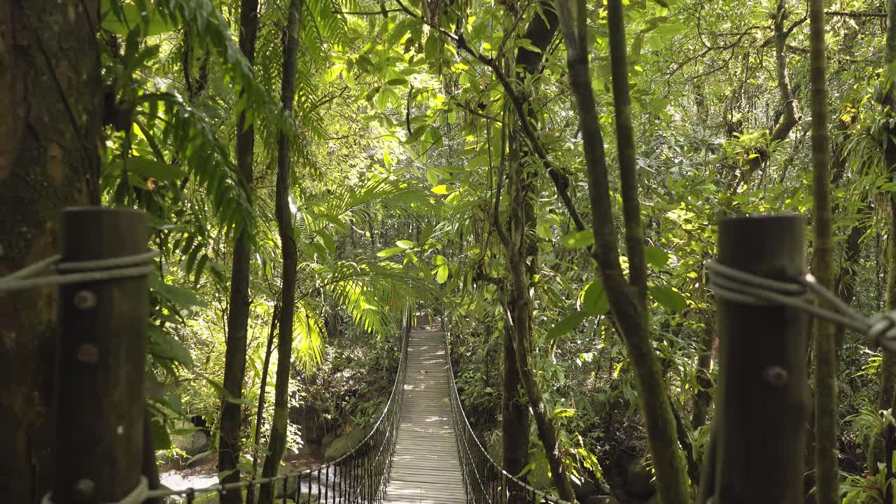 puente colgante de madera a través de un arroyo en la selva amazónica, brasil