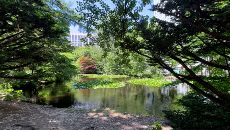 tranquil sapporo park scene with lush greenery and calm pond waters