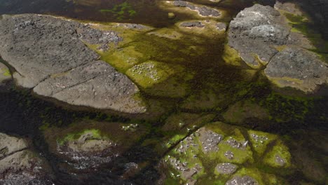 drone wide shot over seagulls on sea cliffs