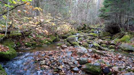 Río-En-Una-Montaña-En-Otoño