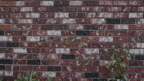 fondo de pared de ladrillo de tres colores