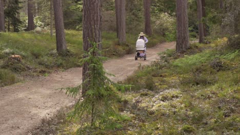 unusual sighting of a fairytale mother strolling with baby in finland