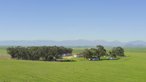 south african farmland landscape