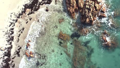 Luftaufnahmen-Von-Kristallklarem-Meer,-Das-An-Einem-Sonnigen-Tag-Auf-Guernsey-Auf-Goldenen-Sand-Mit-Bunten-Felsen-Plätschert,-Aber-Es-Könnte-überall-Auf-Der-Welt-Sein