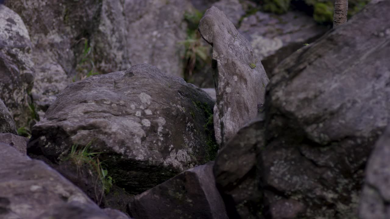 암벽 등반하는 사람