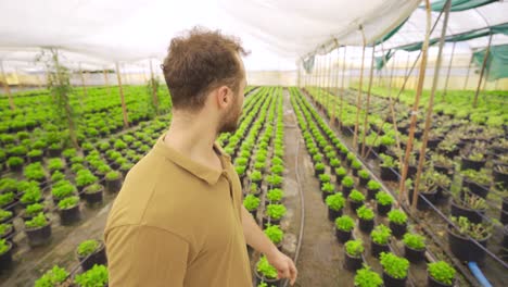 farmer walking in a flower greenhouse.