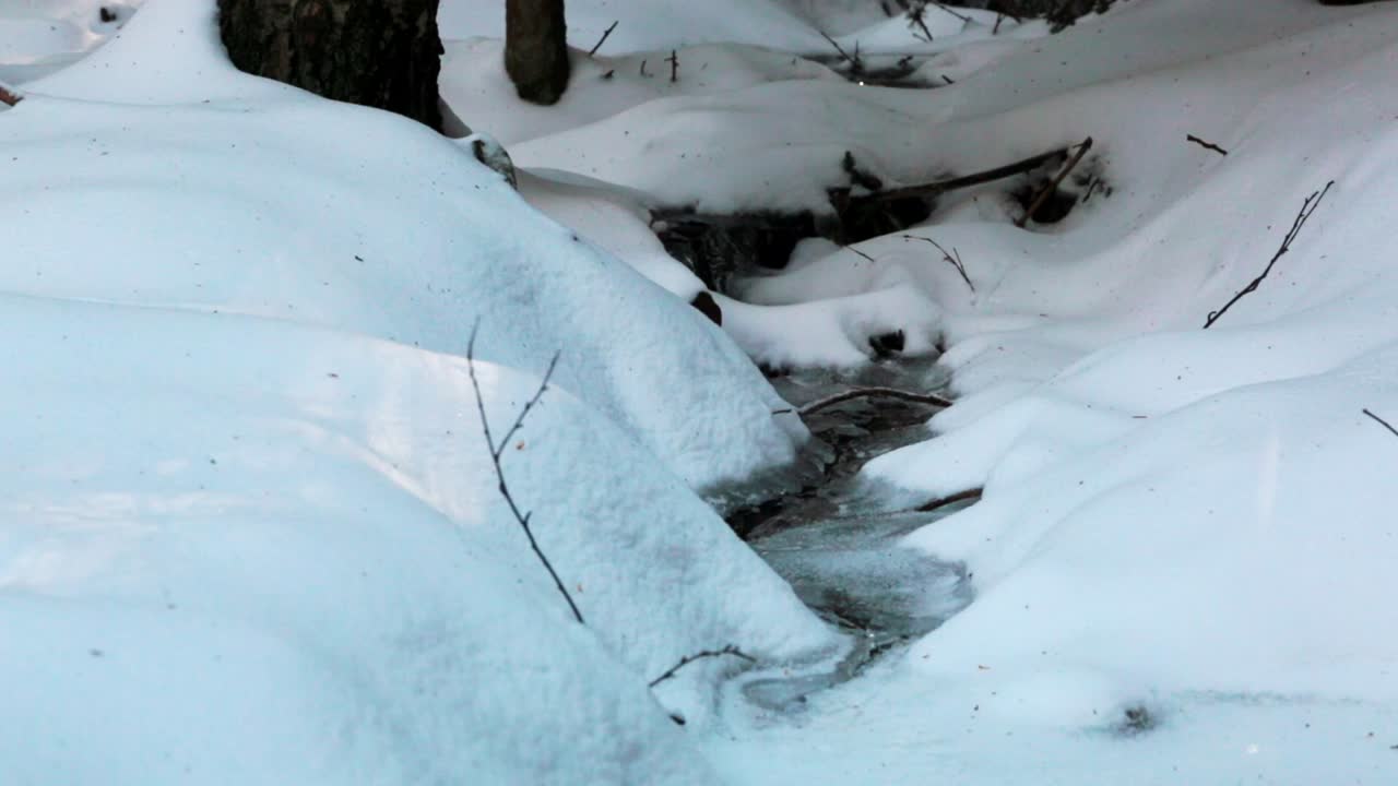 Small stream of water in a forest, frozen in winter