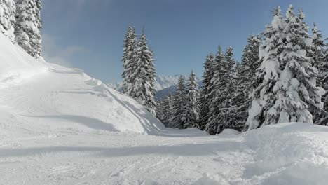 ski slope with trees on the side and with mountains in background on a sunny day in the alps