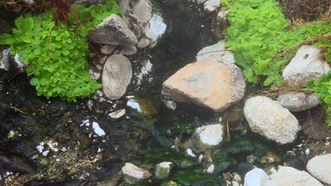 El-Arroyo-Fluye-A-Través-De-Las-Rocas-Cubiertas-De-Musgo-En-Las-Montañas.