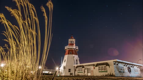 timelapse of a beautiful starry night sky behind a marina lighthouse and cat tails blowing in the wind