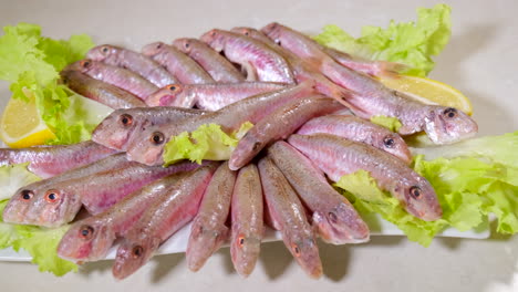 raw mullet fish on white background