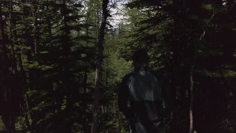 caminante descendiendo a través de pinos cerca de rockies kananaskis alberta canada