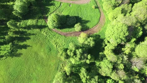 dirt road race track in backyard between trees, aerial establishing reveal