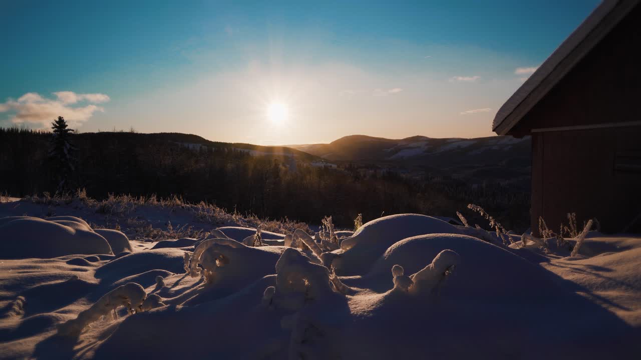 Frosne, isbelagte planter dekket med snø i forgrunnen, og fjell med solnedgang i bakgrunnen