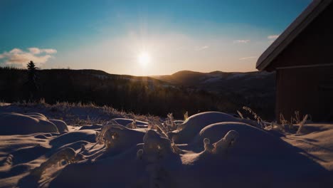 Frozen-iced-plants-covered-with-snow-in-foreground-and-mountains-with-sunset-in-backdrop