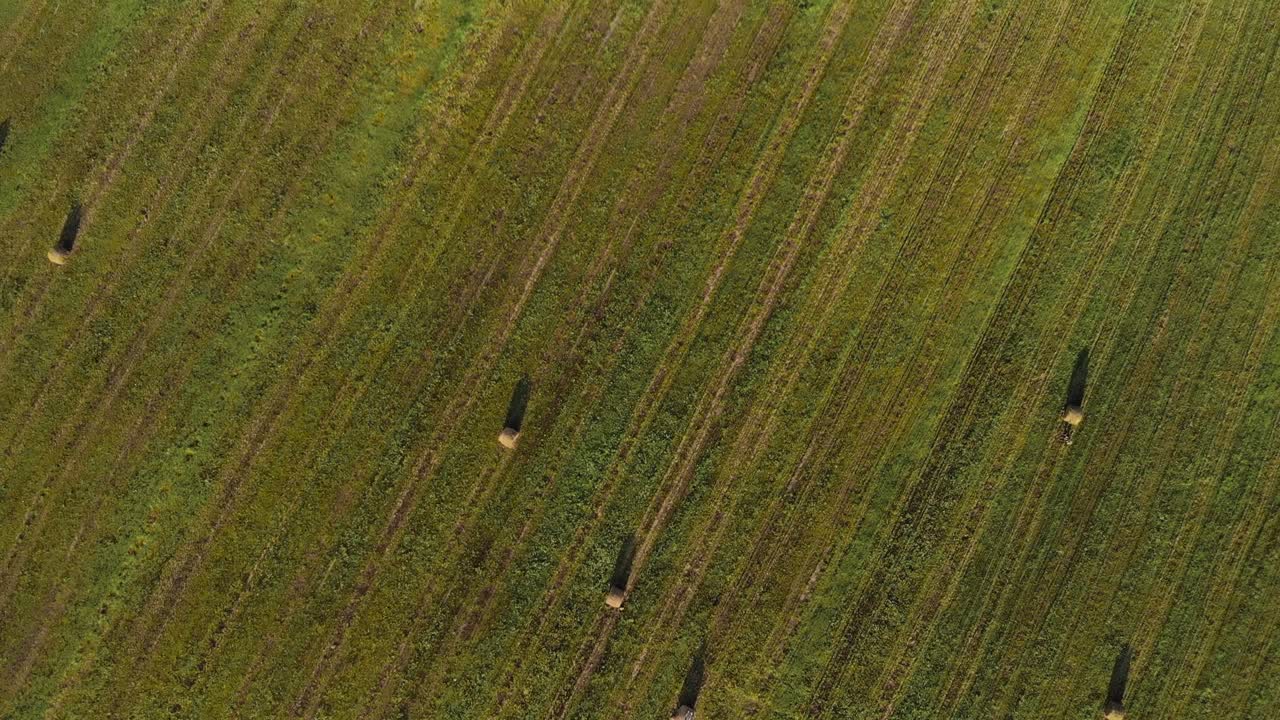 많은 롤의 압축 된 풀은 은 여름 날씨에 농업 에 위치하고 있습니다
