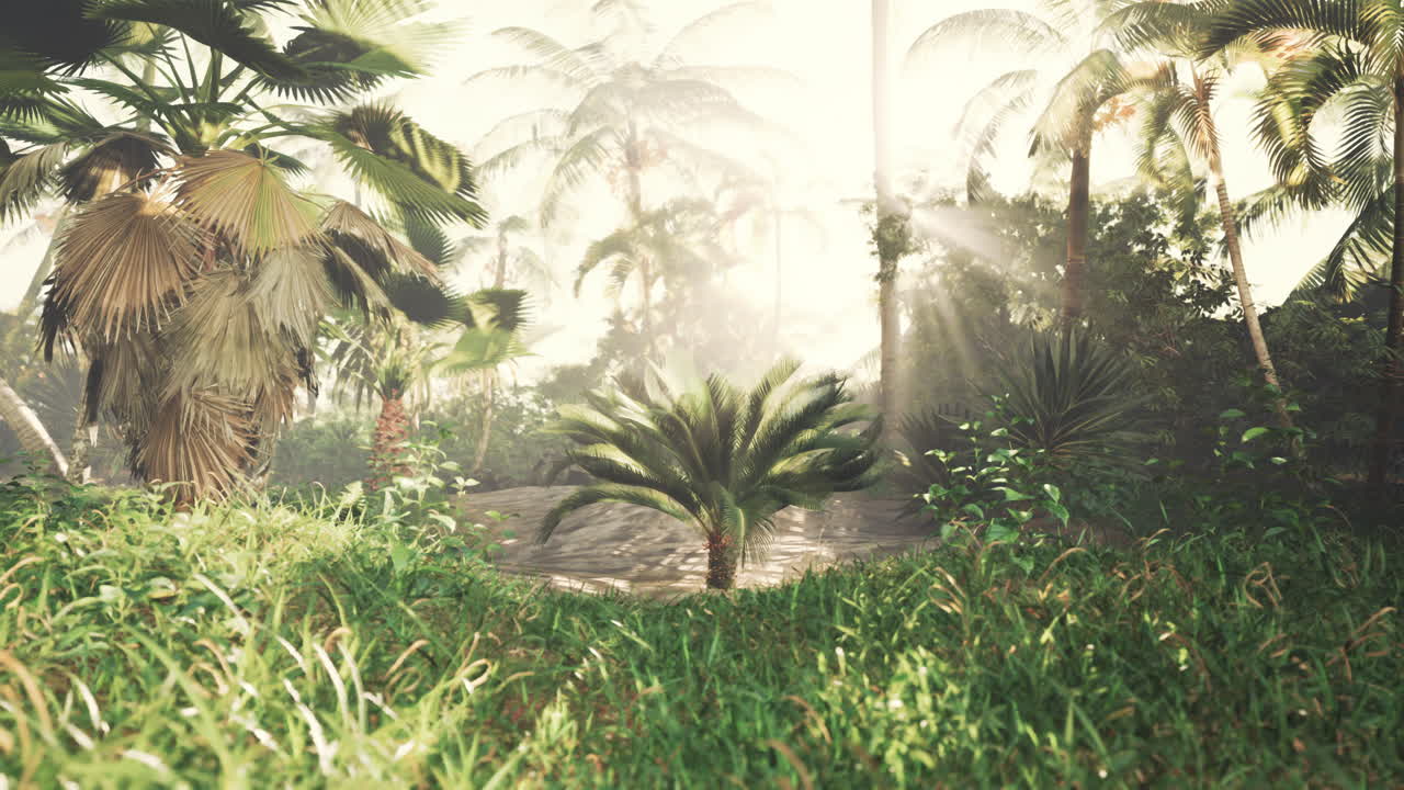 rayos de sol en una exuberante jungla tropical