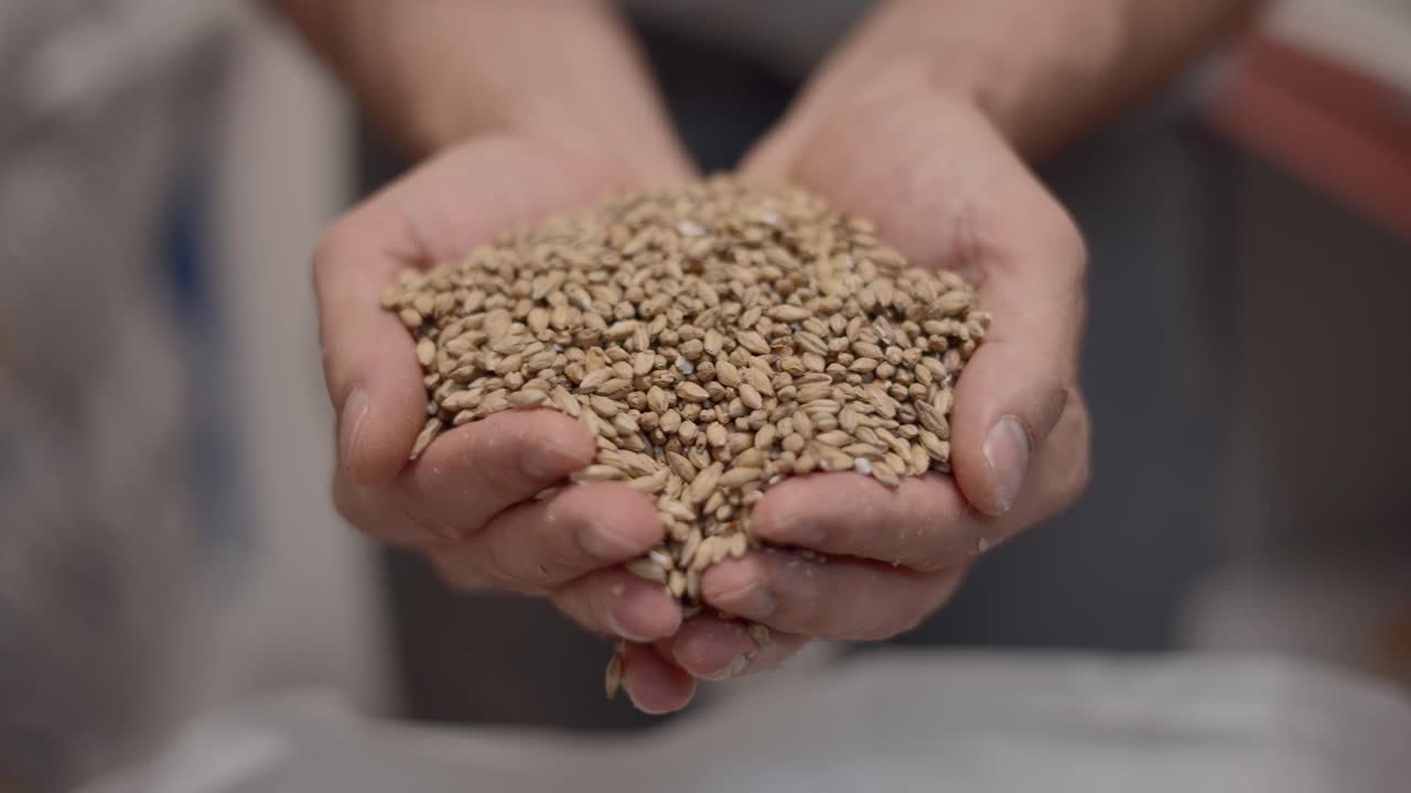Hands Pouring Grain