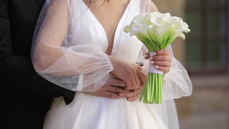 happy bride and groom in wedding dress preparing for wedding happy bride and groom in wedding dress preparing for wedding romantic couple of man and woman wedding day
