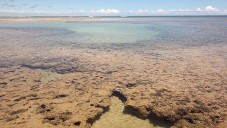 Incline-Hacia-Arriba-La-Vista-De-Los-Corales-En-El-Fondo-Del-Mar-En-Una-Marea-Baja-En-Un-Día-Soleado