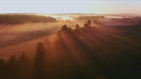 Vista-Aérea-Del-Hermoso-Amanecer-Sobre-El-Valle-Con-árboles-Y-Río