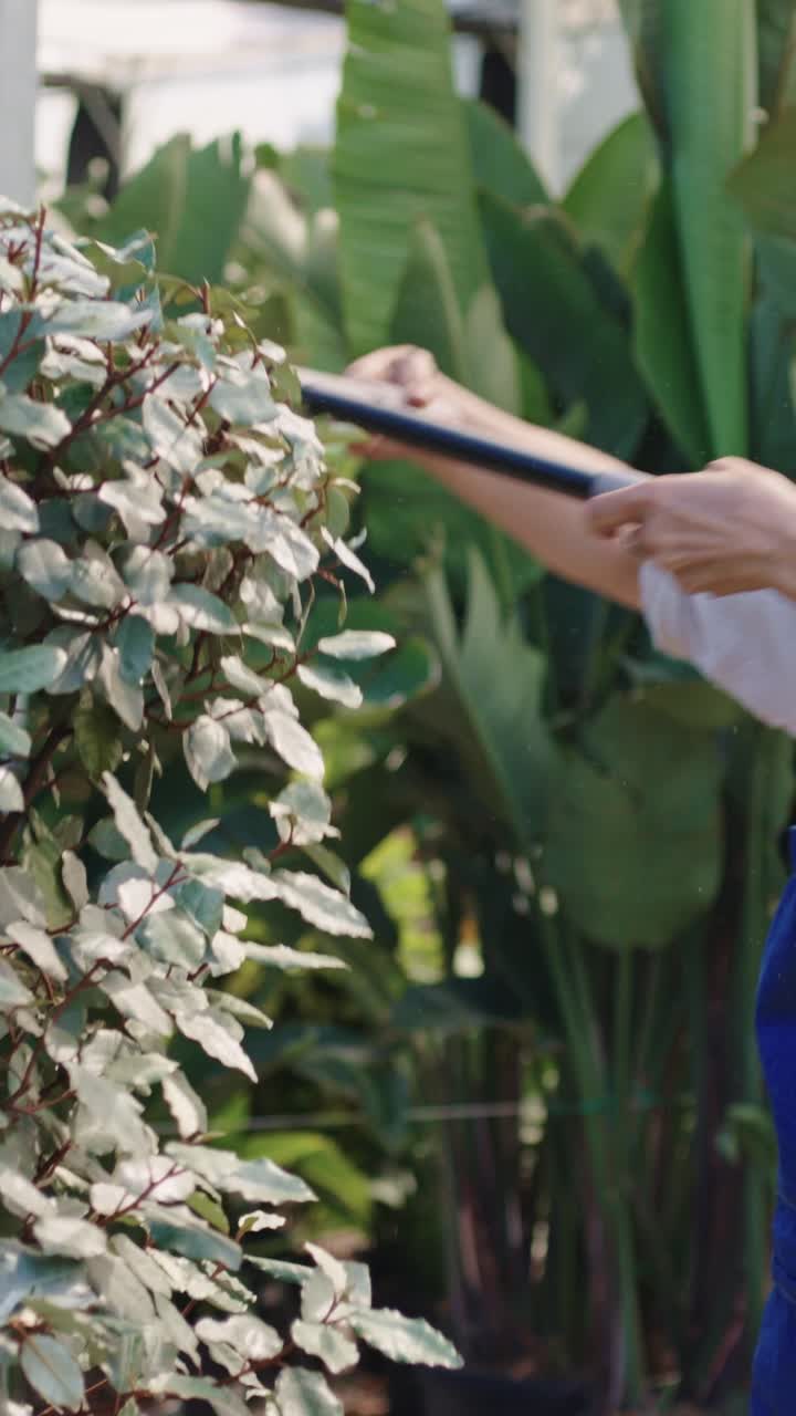 Pruning plants in a garden
