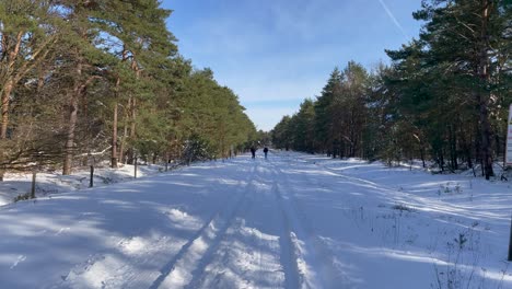 Couple-Skiing-On-The-Ski-Slope-Surrounded-By-Green-Forest-On-A-Sunny-Day