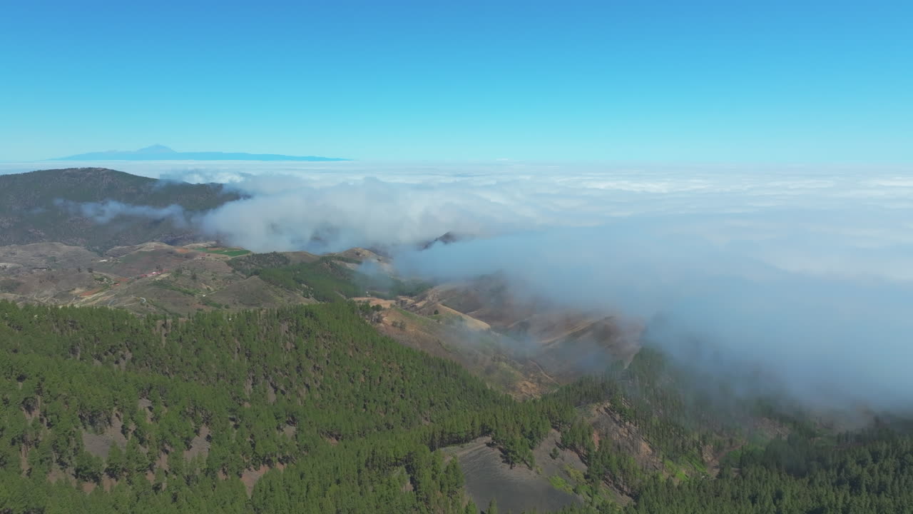 Aerial view of a mountainous landscape with pine forests and clouds