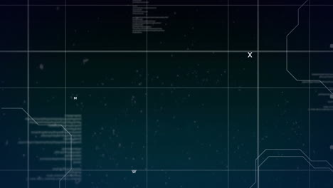 animación de la red de conexiones y procesamiento de datos