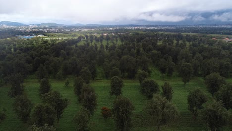 aerial view of the agricultural land in arusha