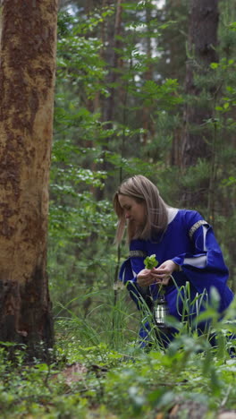 girls collect useful plants and berries in forest, historical costumes, herbal collection