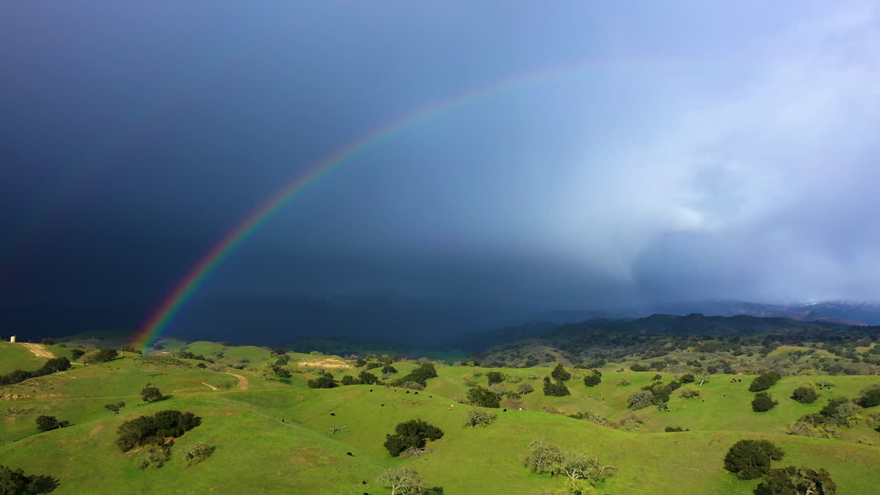 tierra de la granja de california con ganado vacas y doble arco iris en frente de las montañas nevadas drone disparó 4k prores