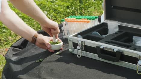asistente de laboratorio que lleva a cabo investigaciones sobre plantas en el campo