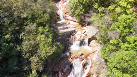 a top-down aerial shot follows a beautiful waterfall as it cascades down rocks in a lush green forest, revealing people relaxing by the pool at the bottom