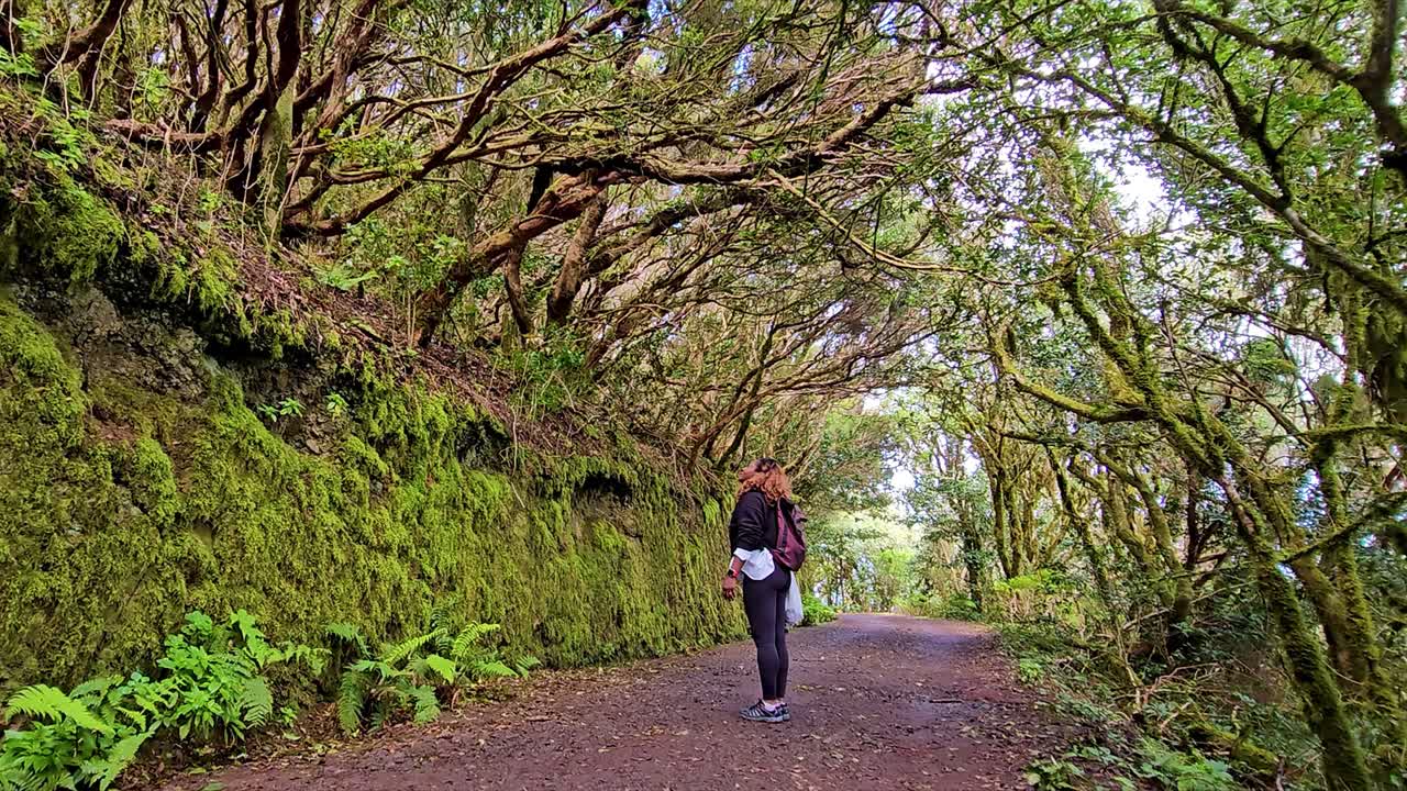 A hiker walking through a lush forest trail in Anaga, Spain, with a mossy path