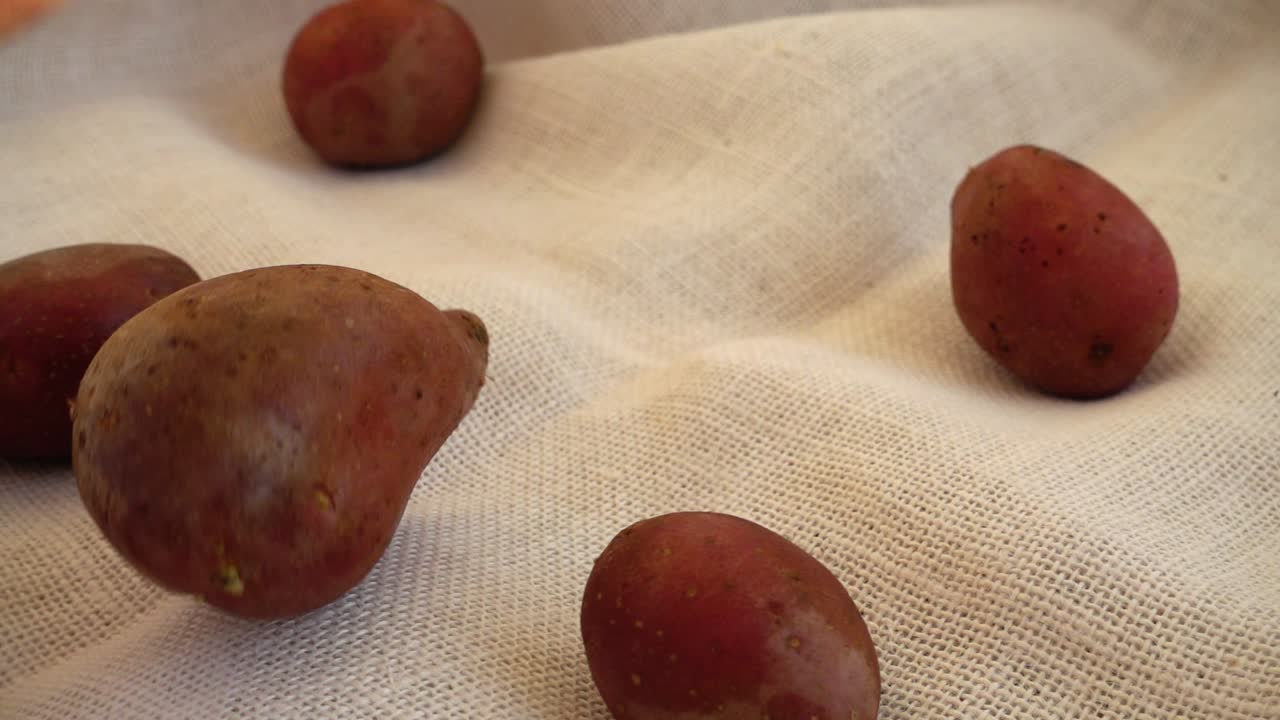 Batatas vermelhas caindo e se espalhando sobre tecido de juta