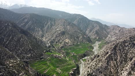 growing crops on mountain summits