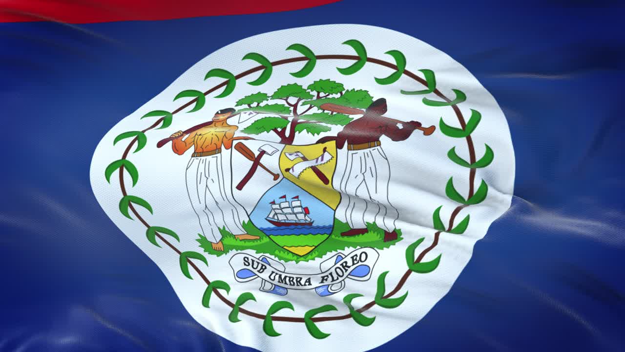 bandera de belice ondeando en el viento con textura de tela muy detallada. bucle sin costuras