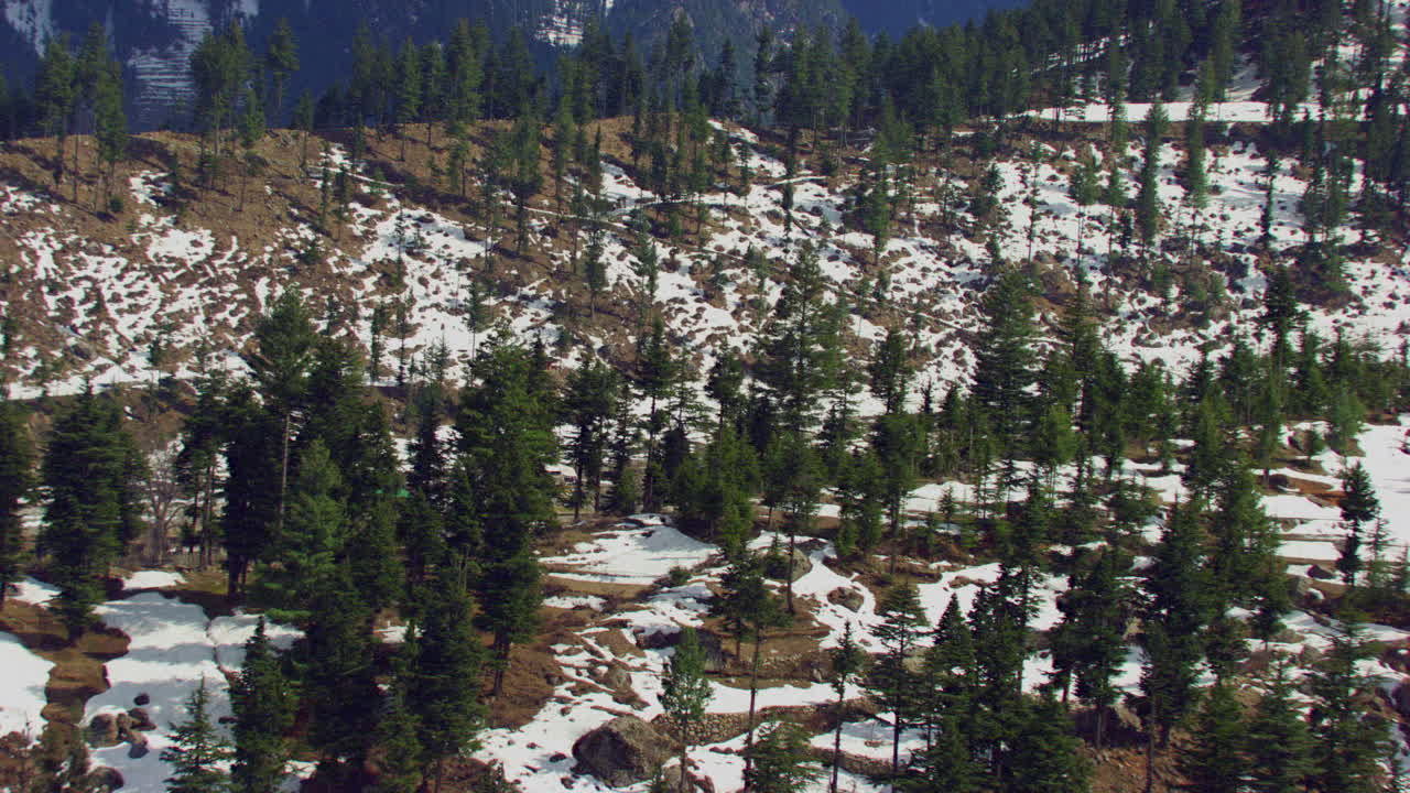 bosque de pinos y pueblo en la vista aérea de la montaña nevada