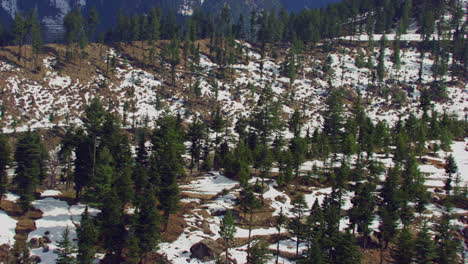 Bosque-De-Pinos-Y-Pueblo-En-La-Vista-Aérea-De-La-Montaña-Nevada