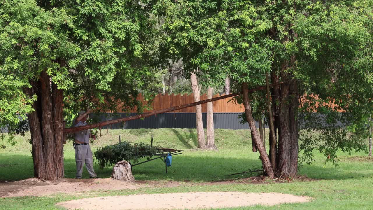 un juego alegre de buscar entre un hombre y su perro